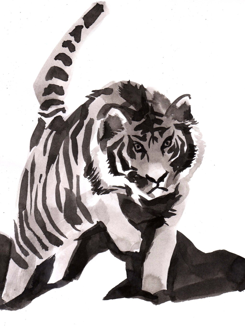 あけましておめでとうございます！