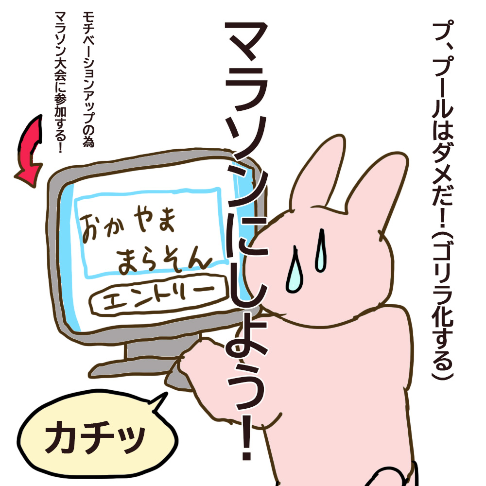 おかやまマラソン